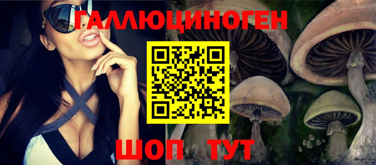 Галлюциногенные грибы MAGIC MUSHROOMS  Вход с VPN  Новозыбков  Галлюциногенные грибы ЛСД 