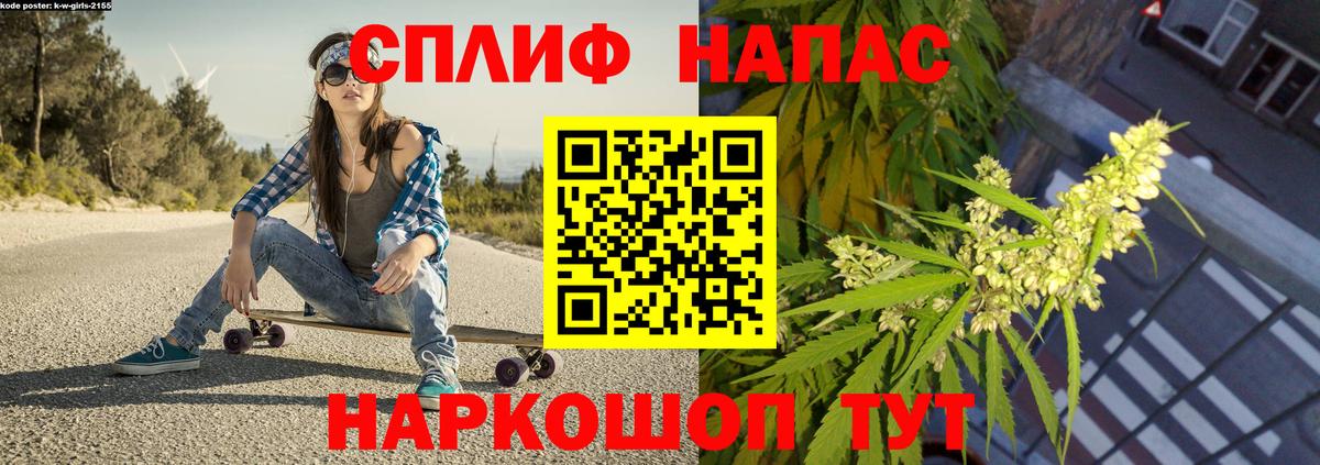 Бошки Шишки MAZAR Новозыбков